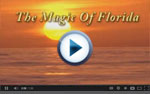 corporate videos of Port Charlotte, Florida